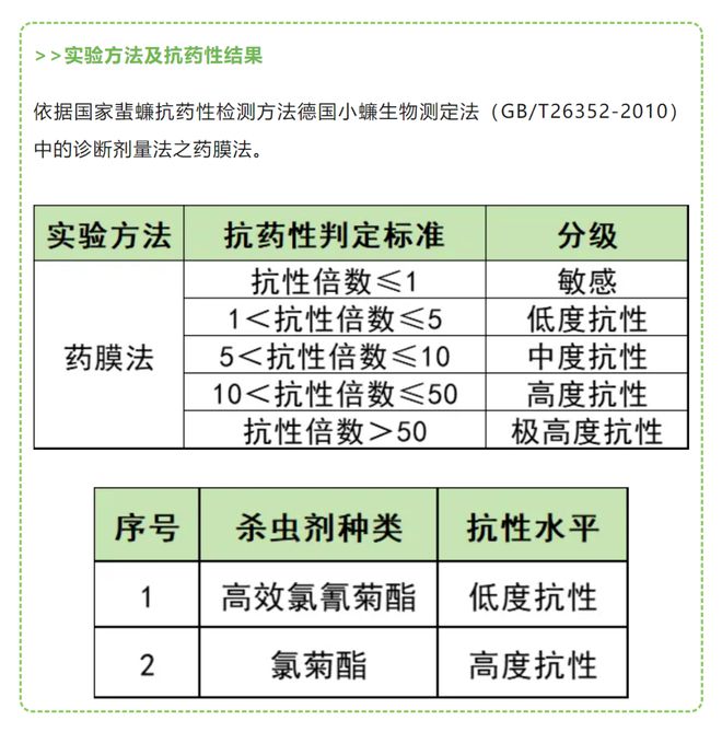 广东蟑螂已“进化”？这个猜测不科学！(图1)