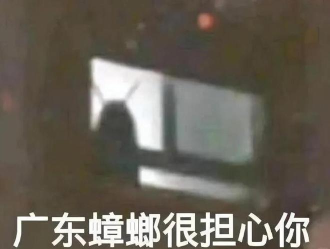 抗药性增强广东蟑螂“进化”了？看懂从远古走来的“小强”(图2)