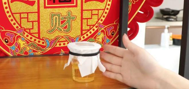 蚊子再多也不怕只需要一瓶啤酒来多少灭多少比蚊香还好用(图7)