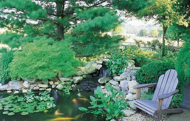 夏天庭院蚊虫多4种方法驱赶蚊虫。成本低又安全再也不怕被咬(图2)