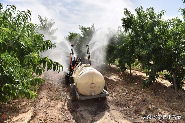 这种杀虫剂几分钟就能击倒害虫当天就能大量死虫你用过它吗？(图8)