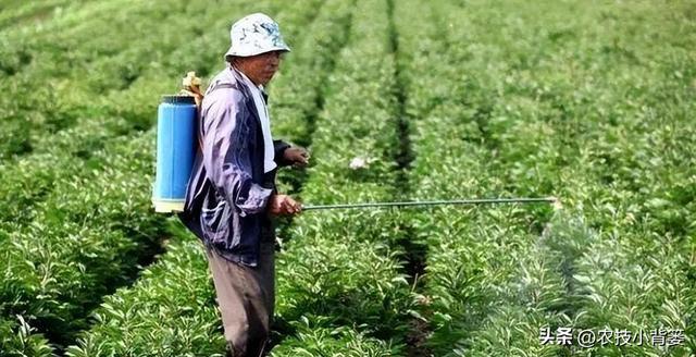 这种杀虫剂几分钟就能击倒害虫当天就能大量死虫你用过它吗？(图9)