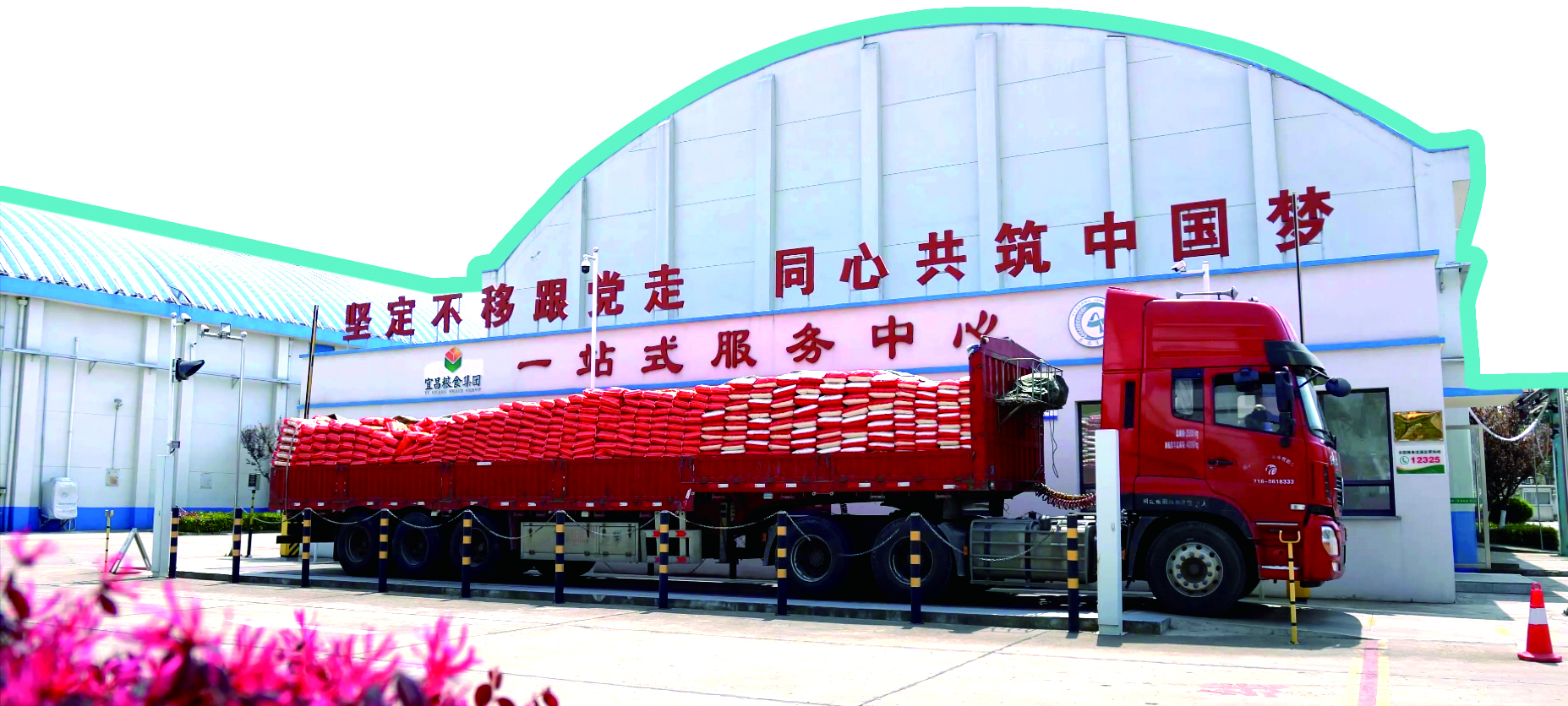 本地-三峡宜昌网(图1)