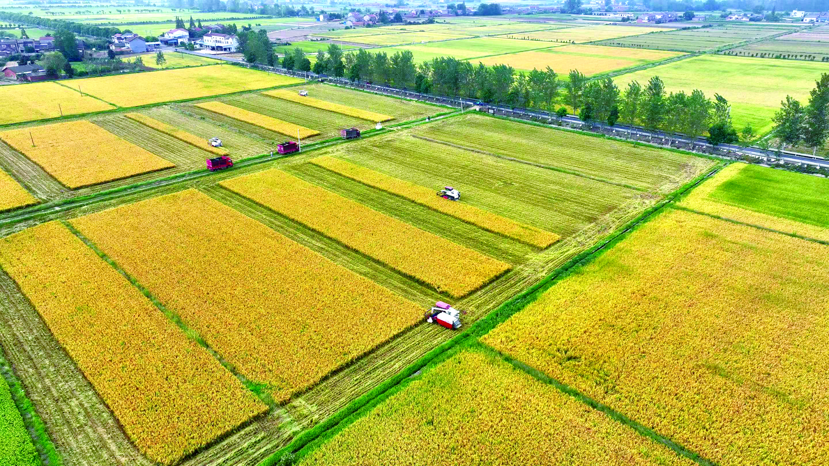 本地-三峡宜昌网(图3)