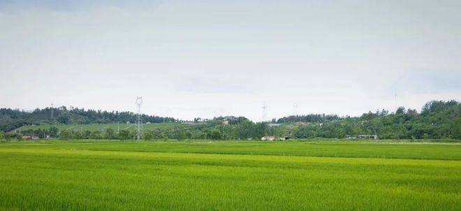 生态文明导刊丨积极发展生态农业助力农业可持续发展(图1)