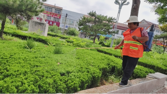 济南市莱芜区口镇街道：做好病媒生物防治共筑居民健康防线(图1)