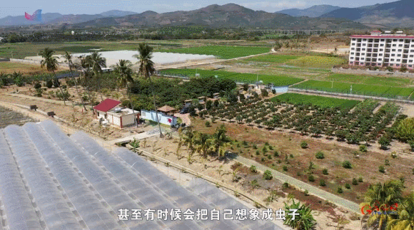 科学报国正当时｜“雷达哨兵”张浩文：吹响迁飞害虫预警“第一哨”(图4)