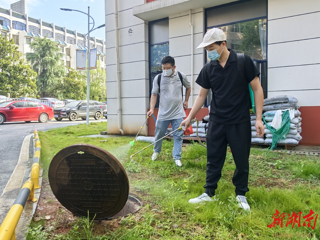 新田县人民医院开展灭蚊消杀防控登革热(图1)