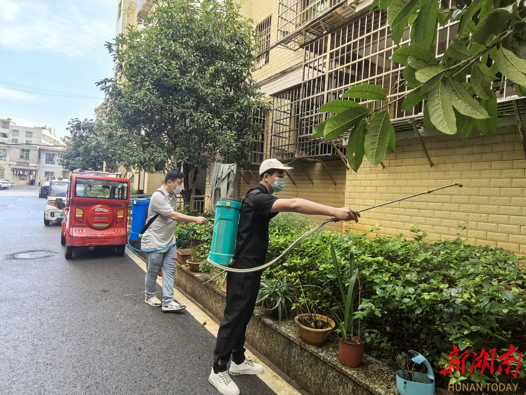 新田县人民医院开展灭蚊消杀防控登革热(图2)