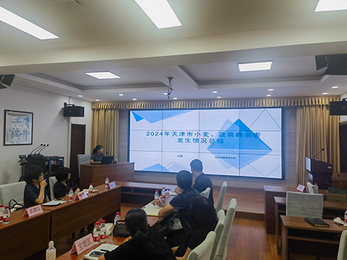 天津市组织主要农作物病虫害监测防控培训会(图2)