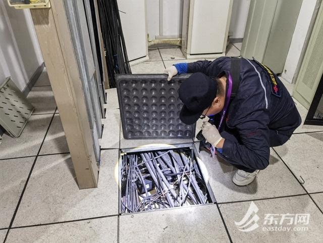 他们在守护！“四叶草”病媒生物密度控制水平提前达到国家最高标准(图3)