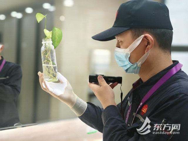 他们在守护！“四叶草”病媒生物密度控制水平提前达到国家最高标准(图4)