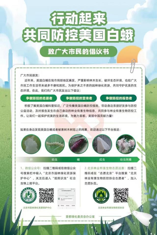第三代美国白蛾进入化蛹高峰期北京将紧盯这些区域除治害虫(图4)