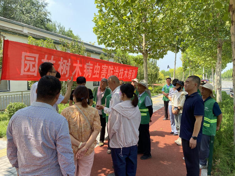 高青县综合行政执法局开展病虫害防治工作为园林绿植“保驾护航”(图4)