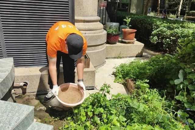 「卫护健康」大屯街道开展蚊蝇消杀专项行动(图4)