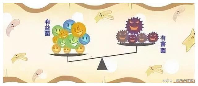 在猪的养殖中其传染性胃肠炎与流行性腹泻该如何进行防控？(图12)