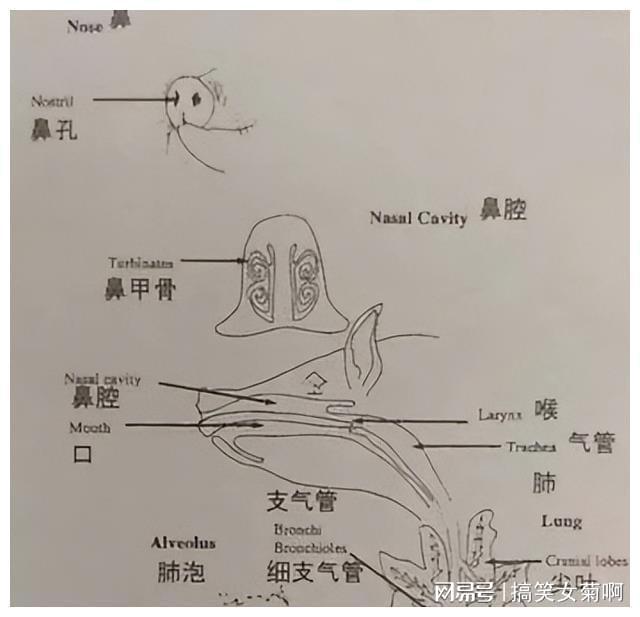 在猪的养殖中其传染性胃肠炎与流行性腹泻该如何进行防控？(图14)