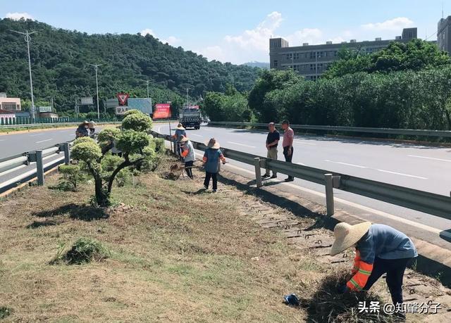炙热模式下肇庆城管是怎样工作的……(图2)