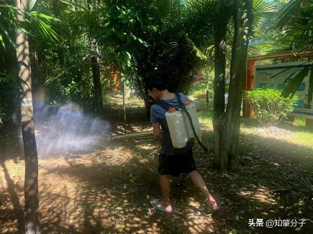 炙热模式下肇庆城管是怎样工作的……(图1)