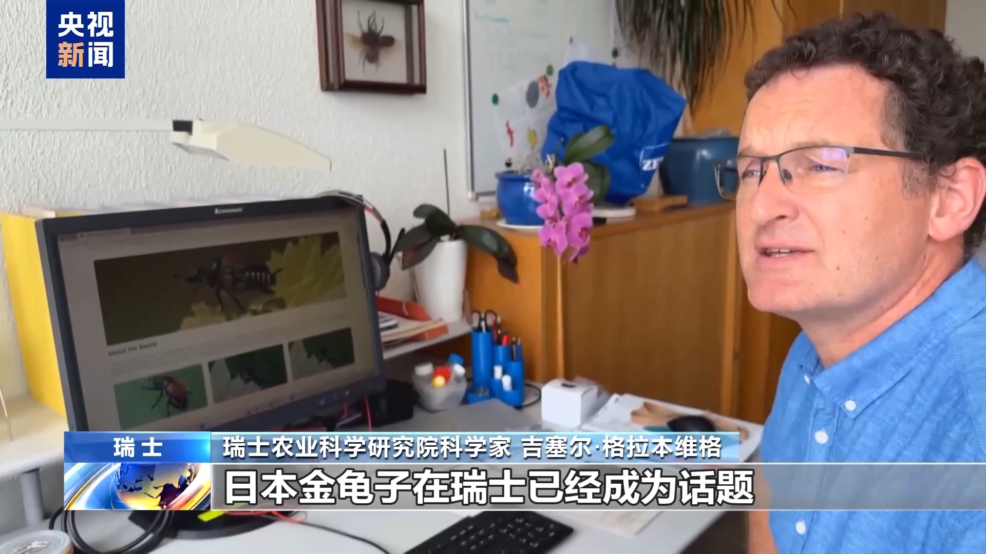 总台记者探访丨日本金龟子侵入瑞士科学家寻找应对之策(图1)