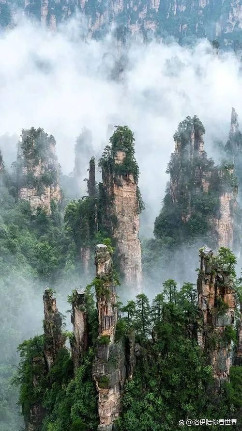 张家界5天4晚旅游攻略：探秘仙境品味土家美食!(图1)