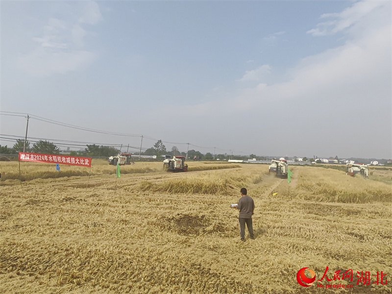荆楚粮仓做好粮食安全“加减法”(图3)
