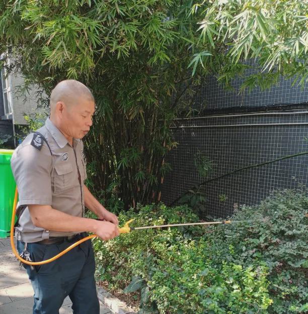 绿意护航守护美好——左岸世亚的细致消杀篇章(图1)