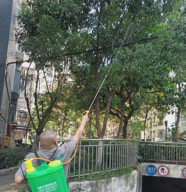 绿意护航守护美好——左岸世亚的细致消杀篇章(图4)