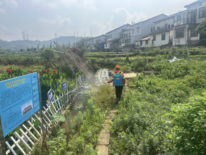 望城区桥驿镇洪家村：夏季“三灭”齐发力增强村级“免疫力”(图1)