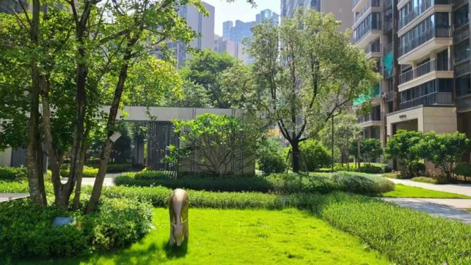 龙光地产：打造宜居生态环境阳光华府获评“绿美住宅小区”(图5)