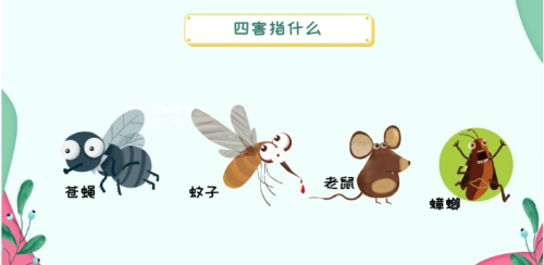 卫管家提供高效、专业的四害防治服务(图1)