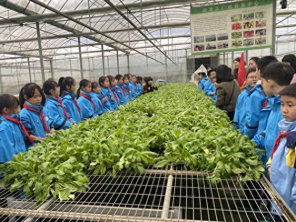 汉滨小学组织队员走进天瑞塬劳动基地开展红领巾校外实践活动(图1)