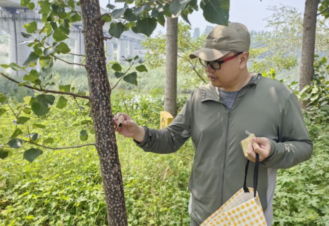 我市完成林业有害生物防治面积157万余亩次(图1)