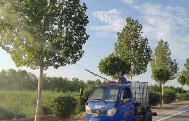 我市完成林业有害生物防治面积157万余亩次(图3)