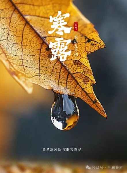 今日寒露老话说“最怕寒露是晴天”晴天有啥预兆？古人为何怕？要防备(图2)