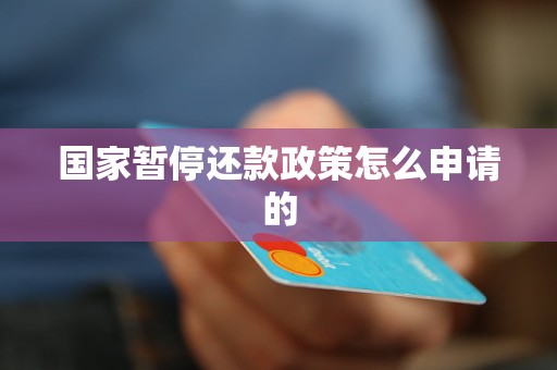 国家暂停还款政策怎么申请的(图1)