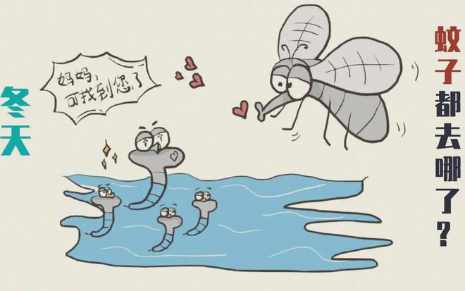 冬季还有必要灭蚊吗？这篇文章带你了解→(图1)