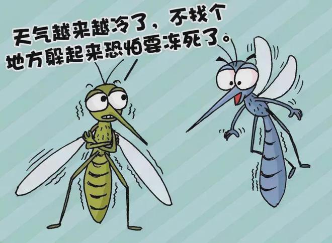 冬季还有必要灭蚊吗？这篇文章带你了解→(图3)