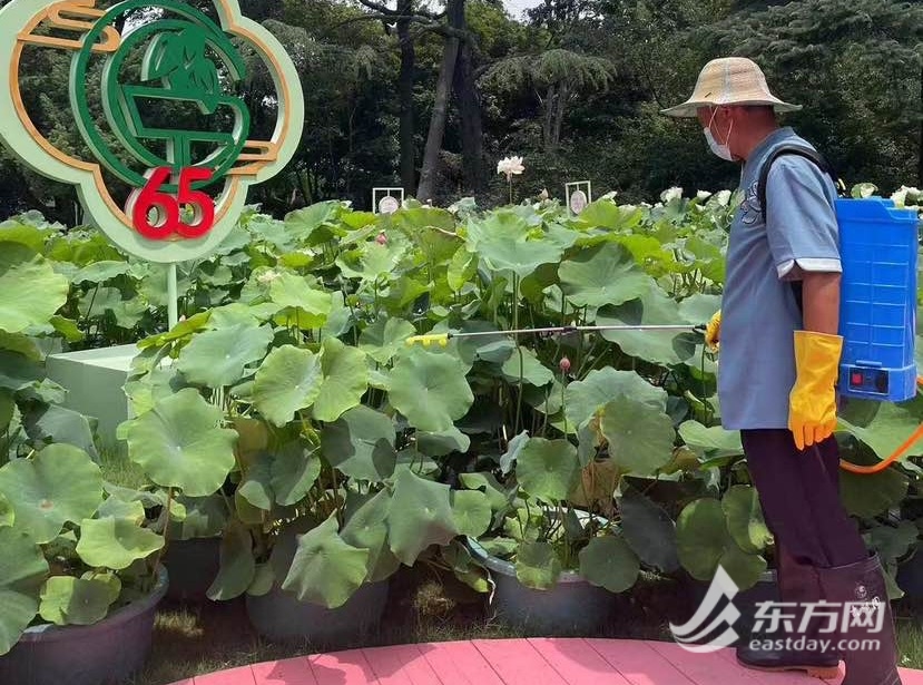 【知识产权声明】(图1)