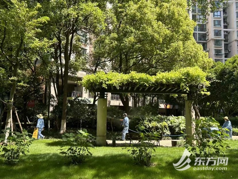 【知识产权声明】(图2)