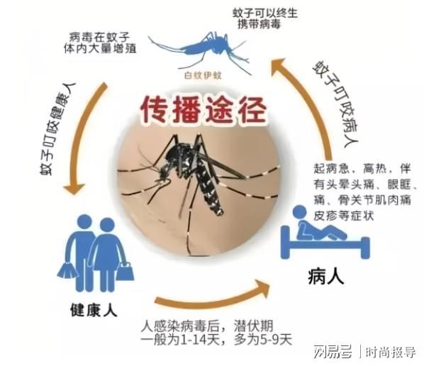天津康汇医院专家提醒：登革热疫情蔓延需加强防蚊灭蚊措施(图1)