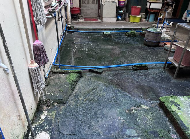 广州一楼栋天井污水积聚被指有登革热隐患！街道回应将整改(图2)