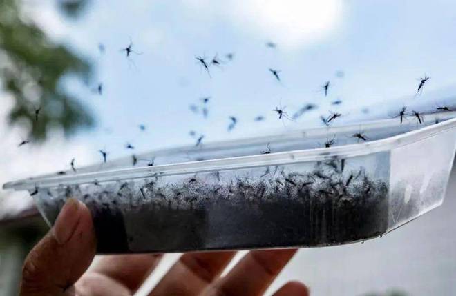 不见面能传染！广东一周新增2029例没特效药和疫苗严重可致死(图5)