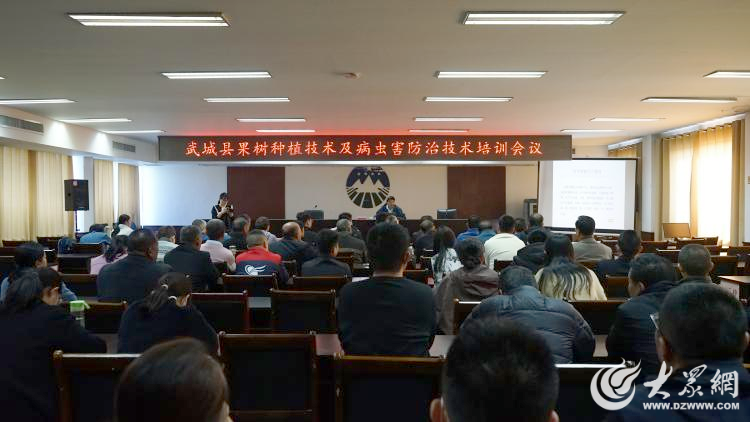 武城县组织开展果树种植技术及病虫害防治技术培训讲座_大众网(图1)