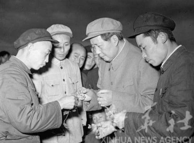 我国五十年代除四害运动老照片(图6)