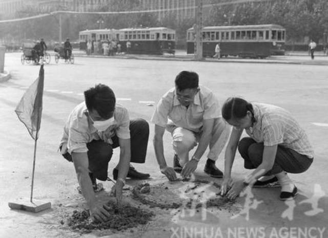 我国五十年代除四害运动老照片(图13)