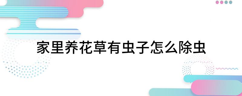家里养花草有虫子怎么除虫(图1)