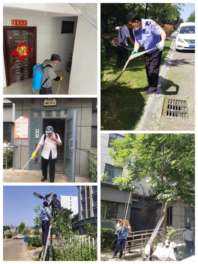 泰安市岱岳区天平街道灯笼山社区进行除“四害”消杀活动(图1)