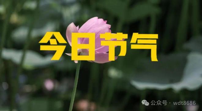 今日冬月初三老话说最怕“冬月初三晴一日”天晴有啥预兆？(图1)