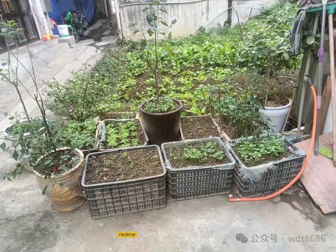 今日冬月初三老话说最怕“冬月初三晴一日”天晴有啥预兆？(图5)